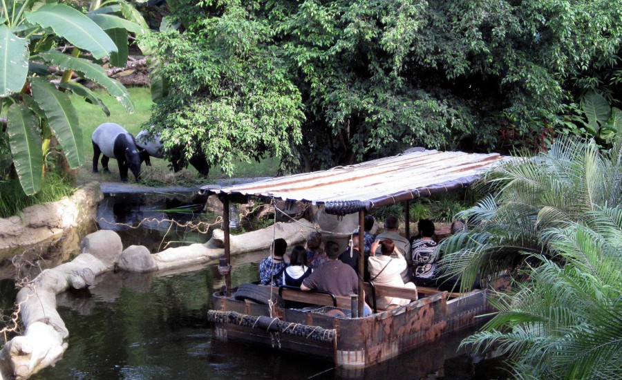 Boattrip through the jungle